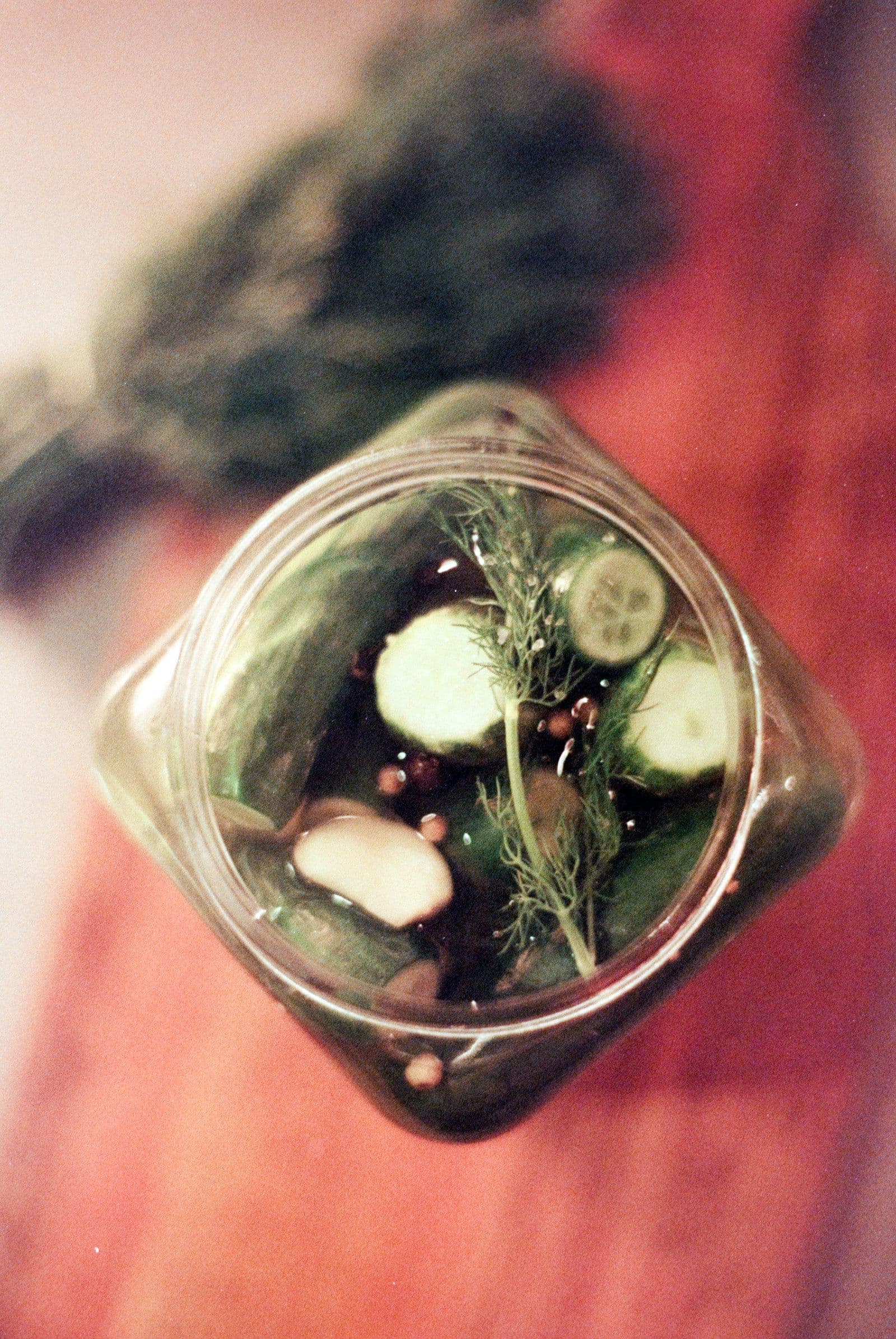 The Art of Fermentation